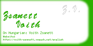 zsanett voith business card